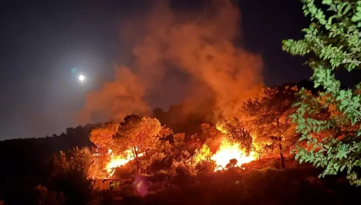 Hatay’ın Kırıkhan ilçesinde ormanlık alanda çıkan yangın söndürüldü