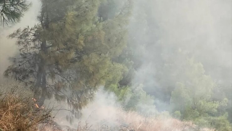 İskenderun’da Orman Yangını Kontrol Altına Alındı